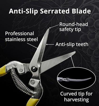 Gardeness Gardening Scissor 12 PCS Curved Stainless Steel Serrated Blade Pruning Shear, harvest shears picking shears Pruning Snip Harvesting Fruit Picking, Mandarins, Lemons and Grape