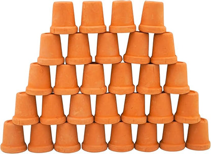 Mini Terracotta Pots – Small Clay Flower Pots for Succulents, Cactus, DIY Crafts, Fairy Garden, School Projects – Set of 30 (Straight Cylinder, 0.7 Inch)