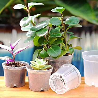 3.5 Inch Clear Nursery Pots, Transparent Plastic Plant Pots with Drain Holes, Seed Germination Starting Planter Container with 20 Plant Labels for Flowers Vegetable Seedlings 60 Pcs