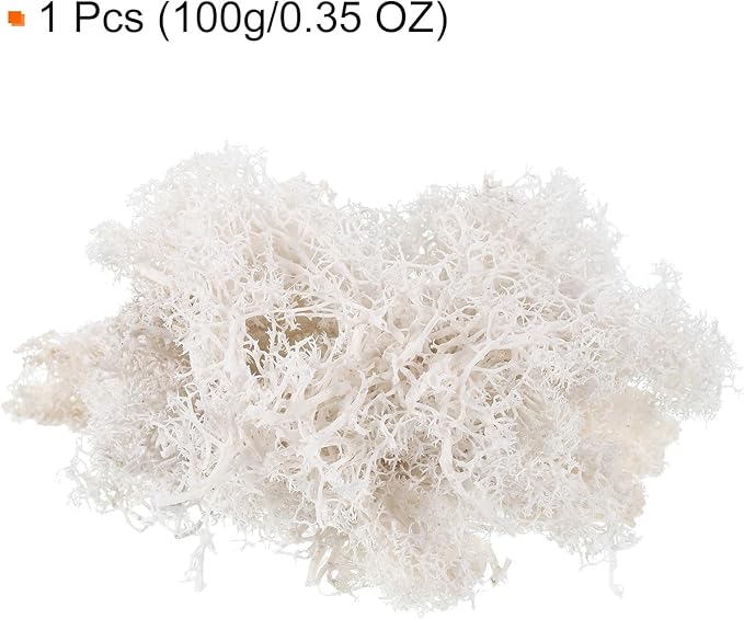 MECCANIXITY 3.5 OZ Moss Fake Craft Moss Artificial Moss Natural Preserved Moss for Craft Arts Floral DIY Project Wall Wedding Garden Patio Table Terrariums Decoration(White)