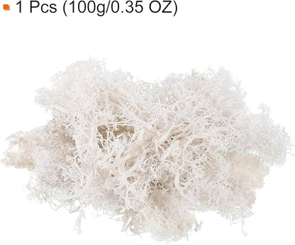 MECCANIXITY 3.5 OZ Moss Fake Craft Moss Artificial Moss Natural Preserved Moss for Craft Arts Floral DIY Project Wall Wedding Garden Patio Table Terrariums Decoration(White)