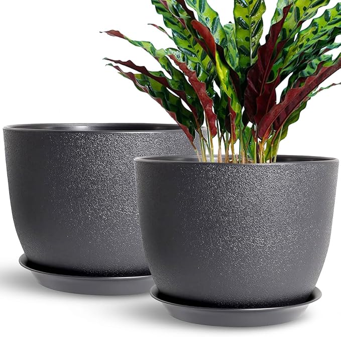 12 Inch 2 Pack Outdoor Flower Pots, Planting Pots with Saucers, Garden House Plants Planters with Drainage Hole Plant Pots Indoor Plants Black Color Plastic