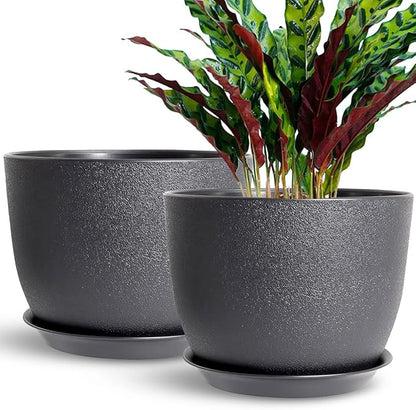 12 Inch 2 Pack Outdoor Flower Pots, Planting Pots with Saucers, Garden House Plants Planters with Drainage Hole Plant Pots Indoor Plants Black Color Plastic