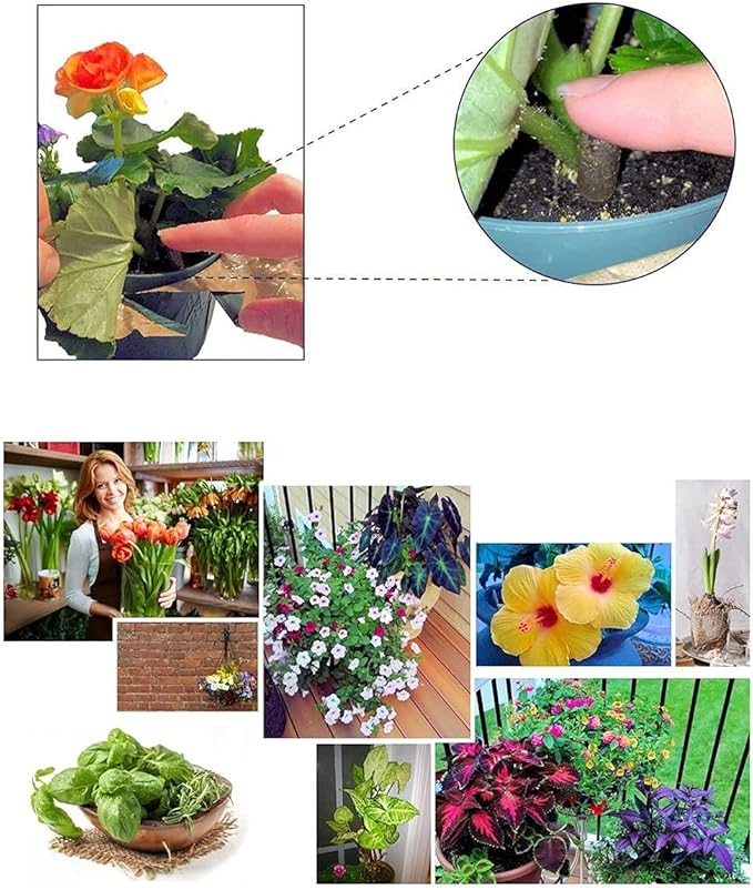 100 EarthPods - Bio Organic Tomato Fertilizer Spikes - Cal Mag for Plants - Pepper Plant Food - Premium Formula - Hand Made in USA
