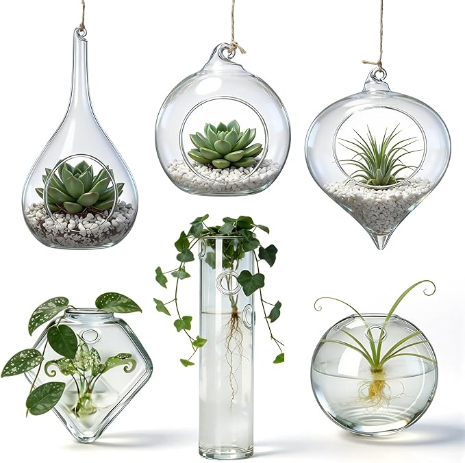 Zopeal 3 Pack Glass Hanging Planter Air Fern Holder Terrarium Plants Hanger Vase and 3 Pcs Wall Planter Propagation Stations Glass Flower Vase for Plant Lovers Gifts Home Christmas Hydroponic Plants