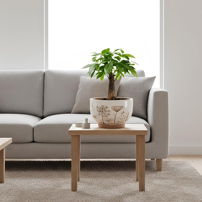 YBX 8 Inch + 6 Inch Ceramic Plant Pots, Succulent Flower Pots with Drainage Holes, Terracotta Planters for Indoor Plants, White&Terracotta (Garden)