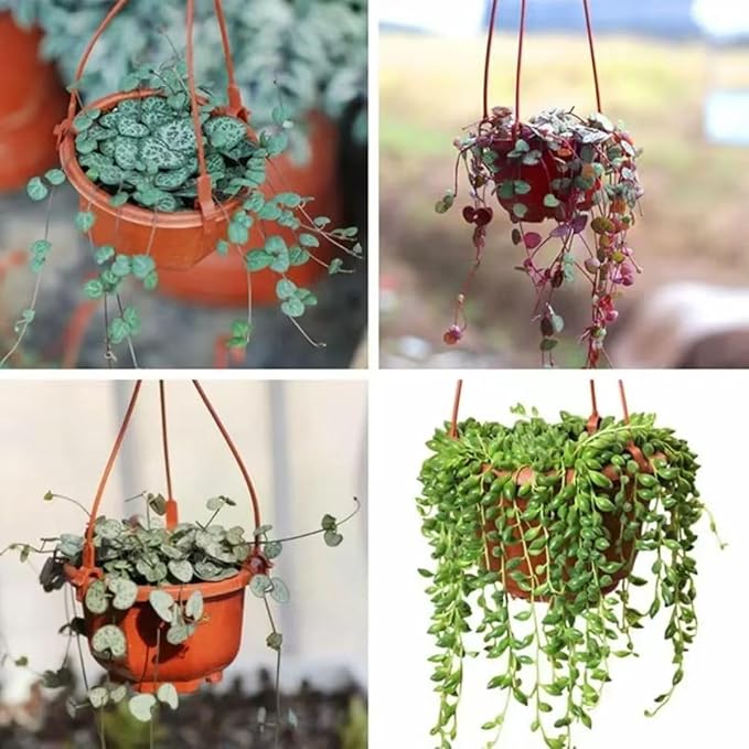 15Pcs Plastic Plant Pots, 10CM Thicken Flower Pot Root-Control Nursery Seedling Planter Decorative Garden Plant Container for Indoor Outdoor Bonsai Plants