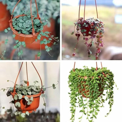 15Pcs Plastic Plant Pots, 10CM Thicken Flower Pot Root-Control Nursery Seedling Planter Decorative Garden Plant Container for Indoor Outdoor Bonsai Plants