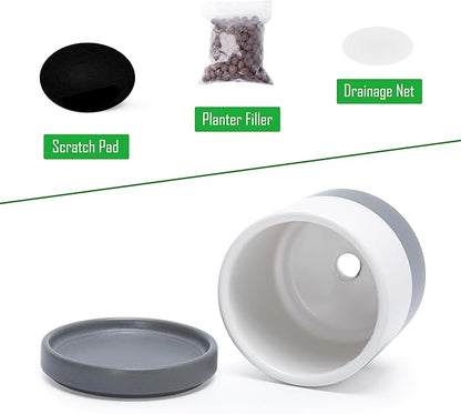 D'vine Dev Set of 3 Plants Pots, 3.5 Inch Ceramic Planter Pot for Plants with Drainage Hole and Saucer, White/Speckled Grey, 94-N-A-6