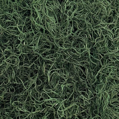 Preserved Spanish Moss - Decorative Dried Moss for Crafts, Home Decor, Art, Design & DIY Projects - for Indoor Use - Forest Green - Standard Box - Covers 10-12 sq. ft.