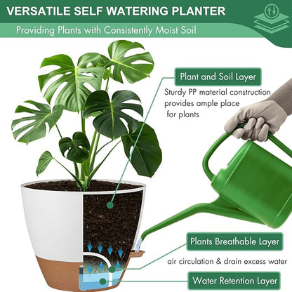 montresor 2 Pack 10 inch Plant Pots, PP Plastic Self Watering Planter with Drainage and Tray for Indoor Outdoor Plants, Water Level Window & Reservoir Flower Pots Decorative Planter (Cream, 10 Inch)