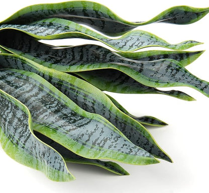 Briful Fake Snake Plant 16" Faux Potted Plant Artificial Snake Plant with White Ceramic Pot Sansevieria Plant Perfect for House Modern Living Room Office Housewarming Gift Indoor Decor