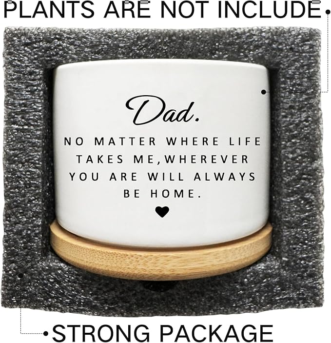 Dad Gifts from Daughter Son, Succulent Cactus Cute Planter Plant Pots Gifts for Dad, for Dad Father, Dad Birthday Gifts, Best Dad Ever Gifts, Gardening Gifts for Dad