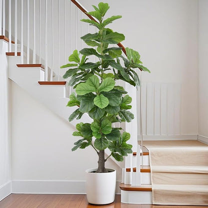 Artificial Fiddle Leaf Fig Tree 6FT(72in) Tall Faux Tree with Large Realistic Trunks and Big Leaves, Fake Floor Potted Artificial Plants for Home Office Garden Indoor Decor (6feet,1Pack)