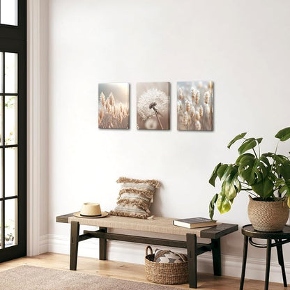 AoArtWZ Dandelion Canvas Wall Art Beige Pampas Plant Flower in Sunshine Picture Prints Artwork for Home Living Room Decor Framed 12" x 16" x 3pcs