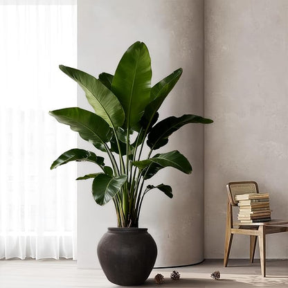 12" H x 14" Dia Fiberstone Vintage Style Planter with Drainage Hole, Indoor/Outdoor Large Plant Pot for Home Patio Garden, Ideal for Artificial Tree/Plants
