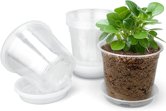 5 Inch Clear Nursery Pots with Drainage Trays, 15 Pack Plastic Pots for Plants, Clear Pot for Seed Starting, Transplanting, Succulents, and Indoor Gardening (5 inch)