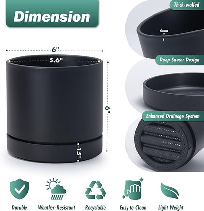 Phoenix Vine 6 Inch Planter Pot with Drainage Hole & Saucer, Deep Water Catch Tray, Straight Cylindrical Round Pot for Plants, Matte Black, Pack of 1, 23-C-S-1