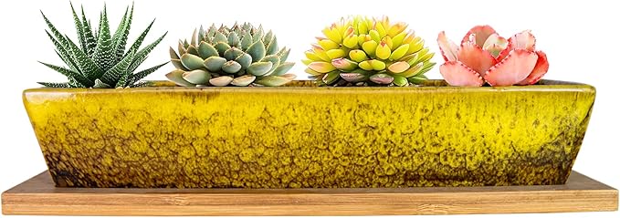 ARTKETTY Succulent Pots, 9.8 Inch Ceramic Succulent Planters with Drainage Small Bonsai Pot with Bamboo Tray, Mini Cactus Flower Planter Pot Shallow Rectangular Window Planters for Indoor Plants