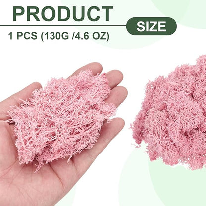MECCANIXITY 4.6oz Preserved Reindeer Moss, Pink Decorative Artificial Fake Moss for Potted Plants Indoor Crafts Lichen Centerpieces Decor