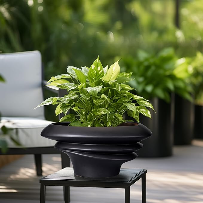 SQOWL Bonsai Pots - 12 Inch Ceramic Bonsai Planter Succulent Pot for Indoor Outdoor Plants Decorative Plant Pot with Drainage Hole Large Flower Pot for Tree Cactus Black