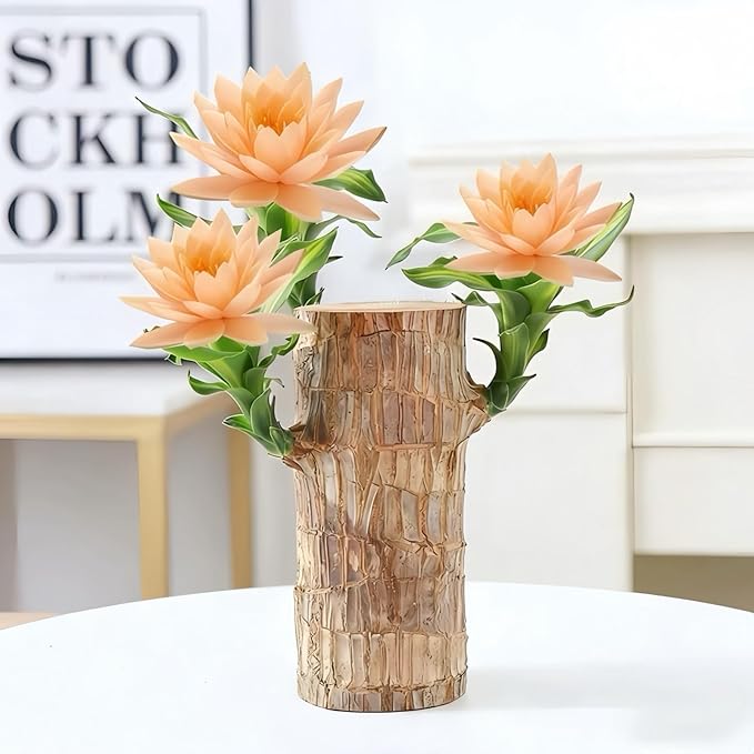 Brazilian Wood Plants,with Base and Mystery Doll Decorations, Easy to Plant in The Home Office to attracts Wealth,Lucky Wood Plant,Home Decoration