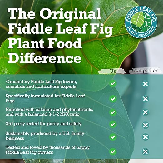 Fiddle Leaf Fig Essentials Bundle