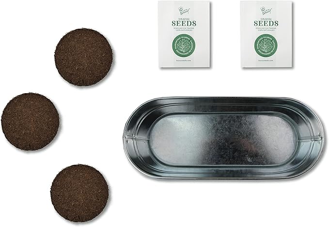 Buzzy Seeds My First Garden Windowsill Grow Kit, Tomato and Marigold Seeds, Indoor Gardening Starter Set for Beginners, Fun DIY Planting Project Gift, New Home Present
