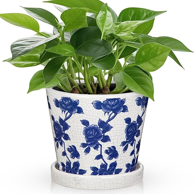 Ceramic Pot for Indoor Plants - 5.5 inch Flower Pot for Plants with Drainage Holes and Saucer Ice Crack Diamond Rose Flower Pattern Ceramic Planter for Outdoor Indoor Herb Snake Plant (Blue & White)