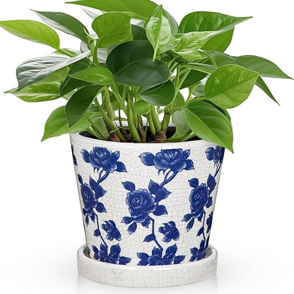 Ceramic Pot for Indoor Plants - 5.5 inch Flower Pot for Plants with Drainage Holes and Saucer Ice Crack Diamond Rose Flower Pattern Ceramic Planter for Outdoor Indoor Herb Snake Plant (Blue & White)