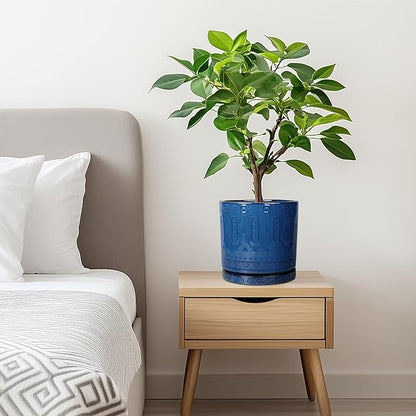 6 Inch Plant Pot - Ceramic Planter for Outdoor Plants Indoor Plant Pot with Drainage Holes and Saucer Succulent Pot Modern Round Flower Pot for House Room Decor Blue