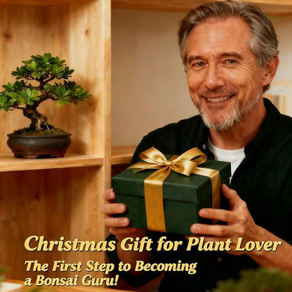 Bonsai Tree Starter Kit for Beginners - Indoor Live Plant Gardening Adult Craft DIY Kits - Unique Christmas, Birthday, White Elephant Gifts for Women, Men & Kids