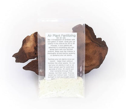 Grab Bag Pack Small & Medium Air Plants - Fertilizer Packet - Wholesale - Bulk - Live Tillandsia - Easy Care House Plant - Succulents, 10 Count (Pack of 1)