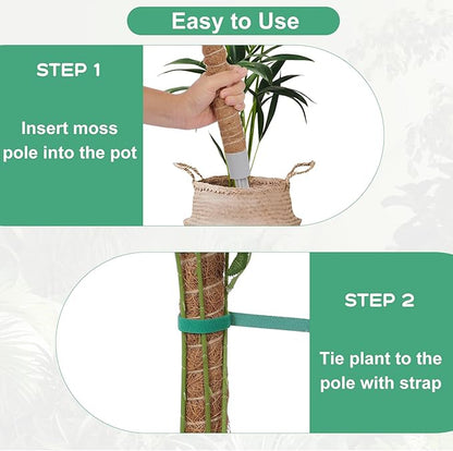 3 Pack Moss Pole, 50 Inch Monstera Plant Support, Tall Moss Poles for Climbing Plants Indoor DIY, Coco Coir Plant Pole Moss Plant Stick Support Stake Kit for Potted Plants, Pothos, Philodendron