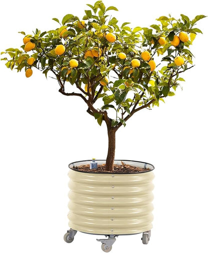 Rolling Metal Citrus Tree Planter, Self-Watering Round Large Pot for Growing Trees Tomatoes Vegetables and Flowers, Raised Garden Bed with Wheels for Porch Patio & Backyard, Single Pack-Pearl White
