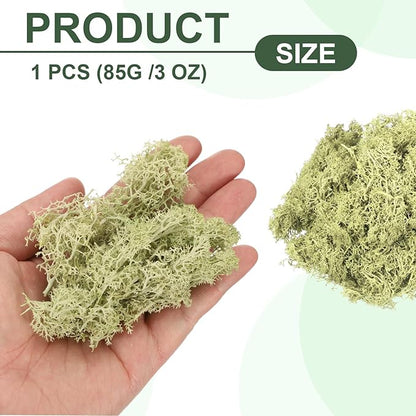 MECCANIXITY 3oz Preserved Reindeer Moss, Light Bright Green Decorative Artificial Fake Moss for Potted Plants Indoor Crafts Lichen Centerpieces Decor