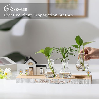 Glasseam Propagation Stations Plant Terrarium: Unique Hydroponic Planter Housewarming Gifts New Home for Women Men - Glass Propagation Jars with Wooden Stand Bulb Vase for Home Decor Plant Lover