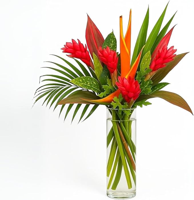 BloomsyBox: Tropical Bouquet Treasure with Bright Heliconias, Red Ginger and Tropical Greener | Fresh Cut Flowers, Hand-Tied, Farm Fresh Flowers Bouquet | Perfect for any special occasion | No Vase