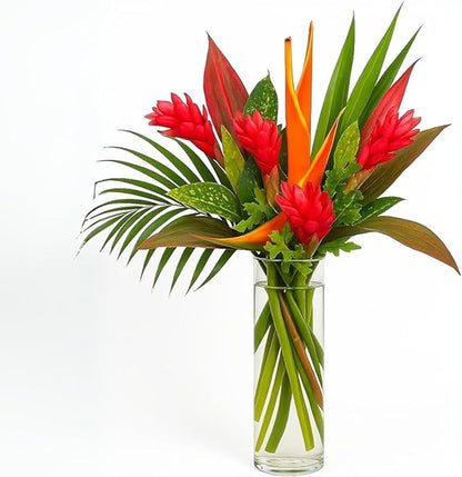 BloomsyBox: Tropical Bouquet Treasure with Bright Heliconias, Red Ginger and Tropical Greener | Fresh Cut Flowers, Hand-Tied, Farm Fresh Flowers Bouquet | Perfect for any special occasion | No Vase