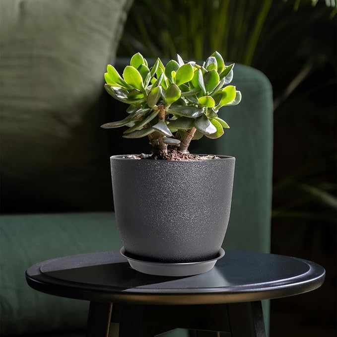Planters for Garden House Plants, Indoor Outdoor Flower Pots Set with Trays 8 Inch Garden Pots,Plant Pots for Indoor Plants, Speckled Black