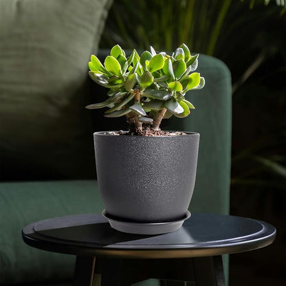 Planters for Garden House Plants, Indoor Outdoor Flower Pots Set with Trays 8 Inch Garden Pots,Plant Pots for Indoor Plants, Speckled Black