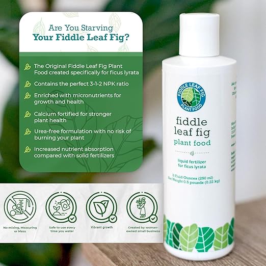 Fiddle Leaf Fig Essentials Bundle