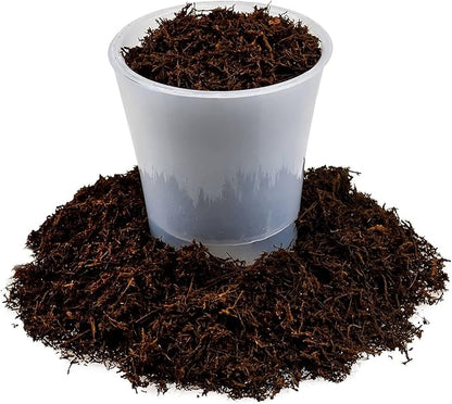 GARDENERA's Premium New Zealand Tree Fern - 5 Quart - Growing Medium for Orchids and Epiphytes | Provides Optimal Drainage and Aeration