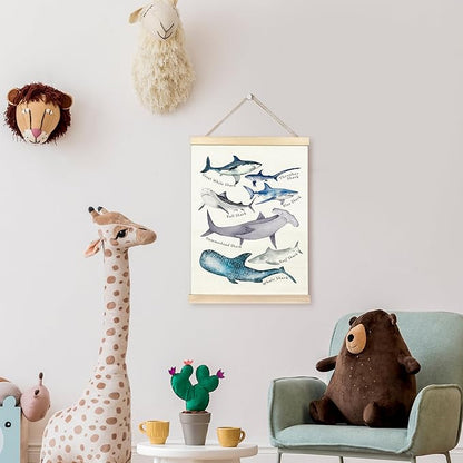 TAEDIN Watercolor Shark Ocean Animal Chart Poster Hanger Frame, Educational Shark Decor Wood Wooden Canvas Artwork Print, Sea Life Wall Painting for Home Bedroom Classroom Library Dorm Decor 12X16