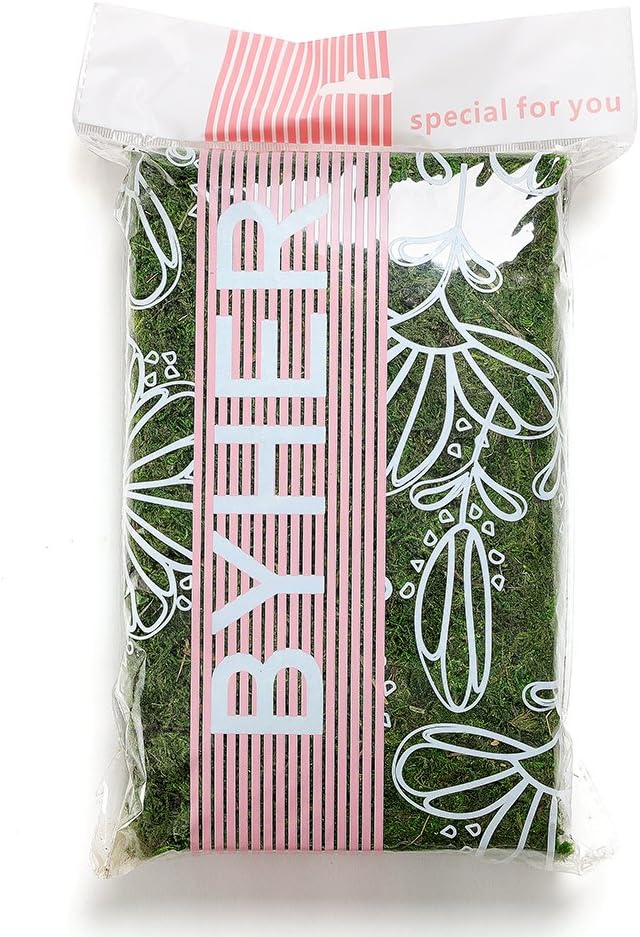 Byher 92926 Preserved Forest Moss, Fresh Green (2OZ)