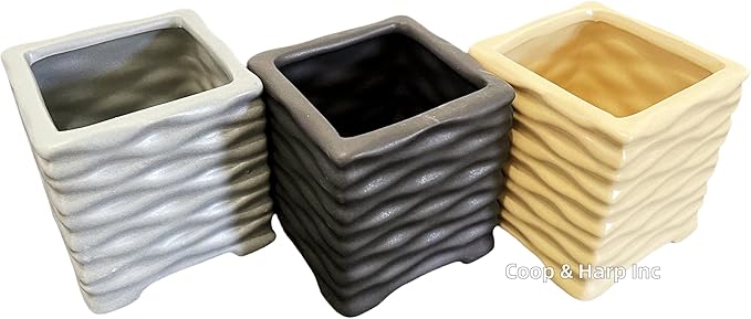 Coop & Harp 3-Stalk 4" Lucky Bamboo Live Indoor Plant with Ceramic Cube Textured Vase, Live Indoor Lucky Bamboo for Home, Office and Gift (Cube Black)