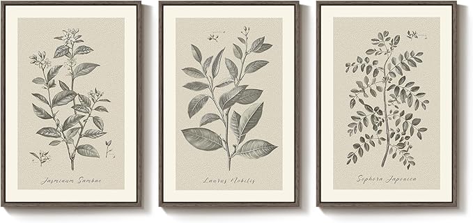 Large Framed Botanical Wall Art for Living Room, 3 Piece Neutral Plant Canvas Painting Prints Artwork for Walls, Vintage Floral illustration Pictures for Farmhouse Bedroom Kitchen Wall Decor, 20x30