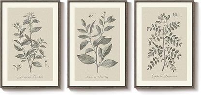 Large Framed Botanical Wall Art for Living Room, 3 Piece Neutral Plant Canvas Painting Prints Artwork for Walls, Vintage Floral illustration Pictures for Farmhouse Bedroom Kitchen Wall Decor, 20x30