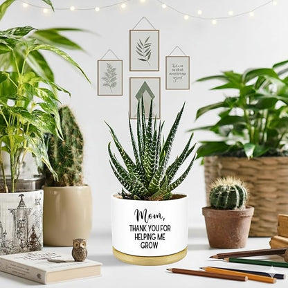Thank You for Helping Me Grow Succulent Planters Plant Mom Gifts, Funny Plant Pots, Cute Flower Pots for Indoor Plants, Small Succulent Pots Mom Birthday Present Gifts for Her, Without Plant