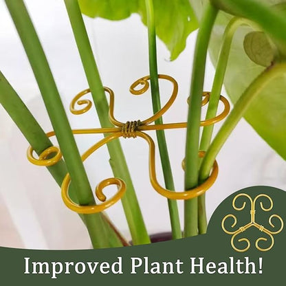 YAPROMO 4PCS Iron Monstera Support Stakes - 4.1IN Indoor Plant Stabilizer Clamps, Prevents Falling for Turtle Shell Bamboo & Houseplants (A)
